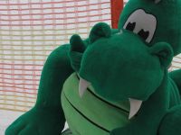 Puchar Smoka Wawelskiego - 11/02/2018 r.